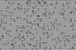 1660253252323 Binarycodegray 1660253252323 Binarycodegray