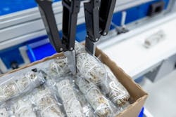 More-more-more More-more-more