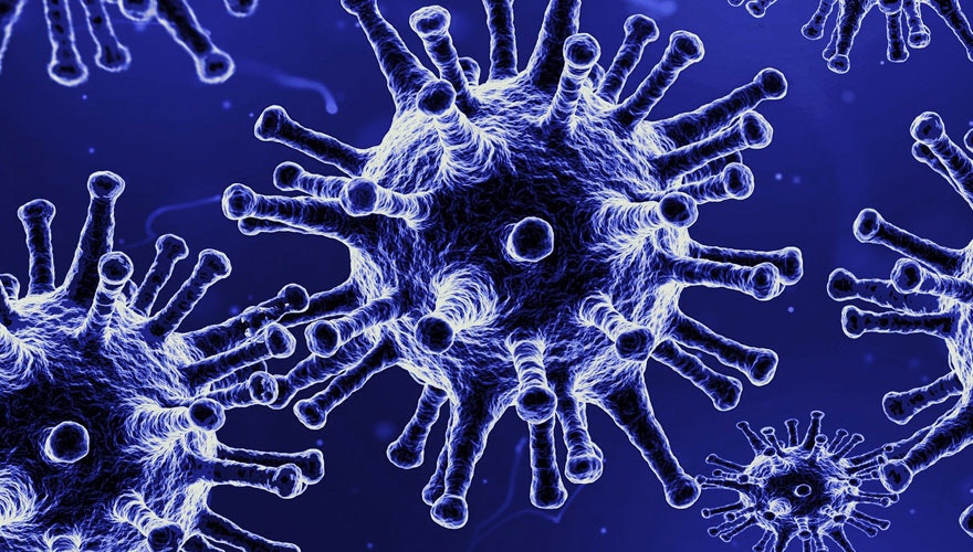 1660253726624 Coronacovidgermshero