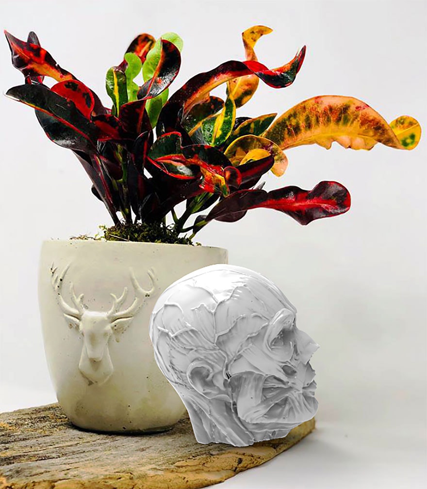 1660253755676 Exact3sb