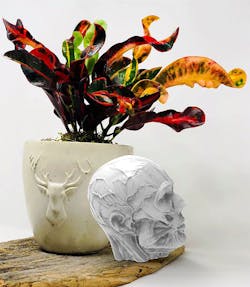 1660253755676 Exact3sb 1660253755676 Exact3sb