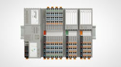 1660253791488 Plchero 1660253791488 Plchero