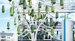 EH-2020-wind-tree-sb