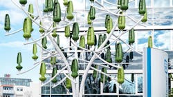 EH-2020-wind-tree-sb EH-2020-wind-tree-sb