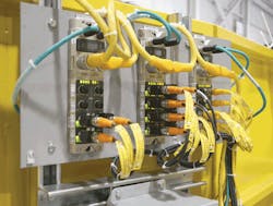 CD1804-Eagle-Balluff-Fig09-700 CD1804-Eagle-Balluff-Fig09-700