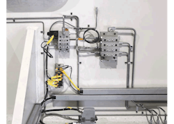 CD1804-Eagle-Balluff-Fig04-700 CD1804-Eagle-Balluff-Fig04-700