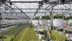 cd1803-control-dekk-P3 cd1803-control-dekk-P3