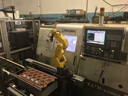 fishing-Figure-5 fishing-Figure-5