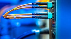 1660317331195 Plcflexesitsmuscleshero2 1660317331195 Plcflexesitsmuscleshero2