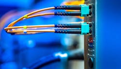 1660317331195 Plcflexesitsmuscleshero2 1660317331195 Plcflexesitsmuscleshero2