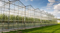 1660317444328 Artificialintelligenceofthingsgreenhousecasestudyhero 1660317444328 Artificialintelligenceofthingsgreenhousecasestudyhero