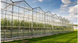 artificial-intelligence-of-things-greenhouse-case-study-hero