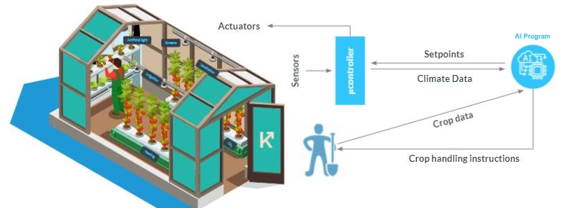 Fig2-autonomous-growing