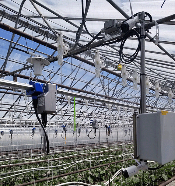 greenhouse-sensing-koidra-web