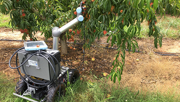 1660317604483 Fruitfulroboticapplicationhero2