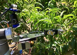 Agricultural-Robotics-VIP-end-effector-in-situ-web