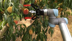 Fruitful-robotic-application-end-effector-web