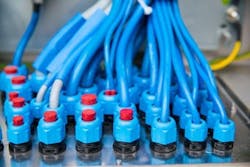 feige-fig02 feige-fig02