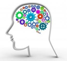 1660318773757 Cd1506stemarticle2