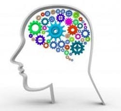 1660318773757 Cd1506stemarticle2 1660318773757 Cd1506stemarticle2