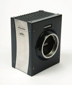 CD1306R_CHROMASENS CD1306R_CHROMASENS