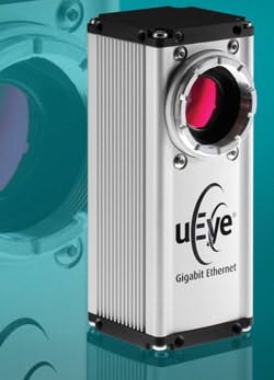 CD1106_RU-ids CD1106_RU-ids