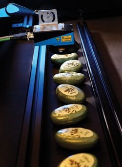 CD1006_RP12 CD1006_RP12