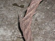 CD0805_CovStry2 CD0805_CovStry2