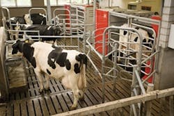 CD0803_InDescrete CD0803_InDescrete