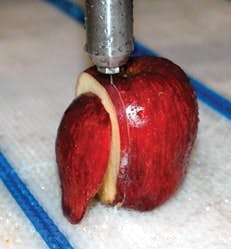 article_066_fig1 article_066_fig1