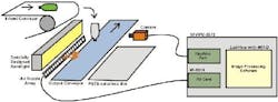 article_155_fig1 article_155_fig1