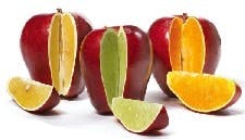 article_269_mainimage article_269_mainimage