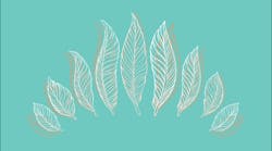 1660601352734 Feathergentle 1660601352734 Feathergentle