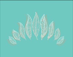 1660601352734 Feathergentle 1660601352734 Feathergentle