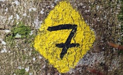 1660601363887 Seven7main 1660601363887 Seven7main