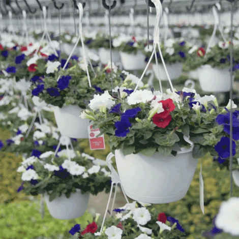 1660601641187 Cd1803controldekkfb