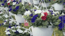 1660601641187 Cd1803controldekkfb 1660601641187 Cd1803controldekkfb