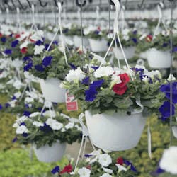 1660601641187 Cd1803controldekkfb 1660601641187 Cd1803controldekkfb