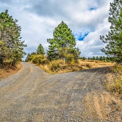 1660601727523 Forkroaddecisioncauseeffectfb 1660601727523 Forkroaddecisioncauseeffectfb