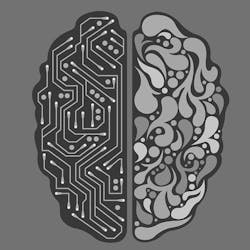 1660601764373 Brainhmifb 1660601764373 Brainhmifb