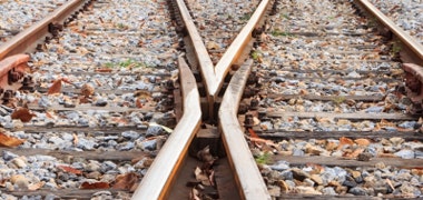 1660601897282 Cd1411specmateattributes