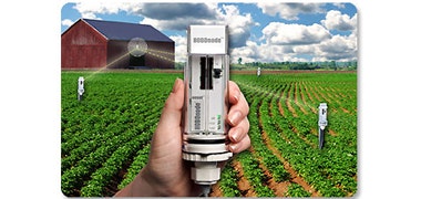 1660602183988 Cd1312mojo