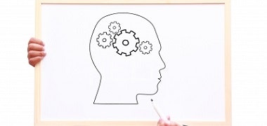 1660602411226 Cd1306oeminsight