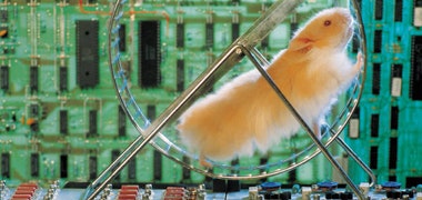 1660602787169 Cd1201network