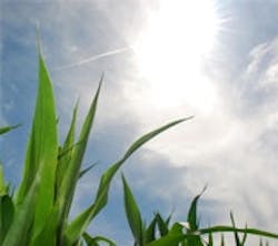 1660604146949 Cd1105 Sun 1660604146949 Cd1105 Sun