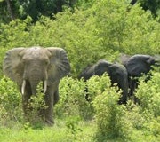 1660604160760 Ine11q2 Feat2