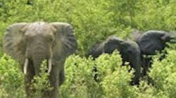 INE11Q2_Feat2 INE11Q2_Feat2