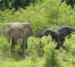 1660604160760 Ine11q2 Feat2 1660604160760 Ine11q2 Feat2