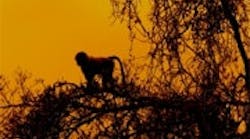 1660604162451 Ine11q1 Feat2 1660604162451 Ine11q1 Feat2