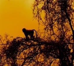 1660604162451 Ine11q1 Feat2 1660604162451 Ine11q1 Feat2